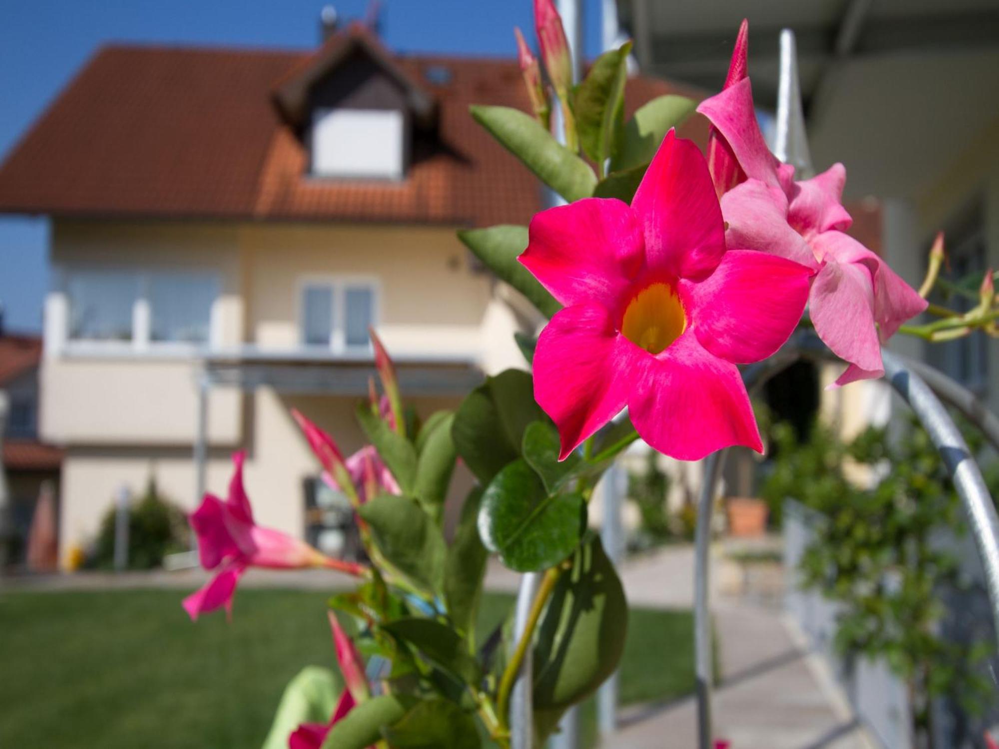 Obst- Und Ferienhof Witzigmann ヴァッサーブルク エクステリア 写真